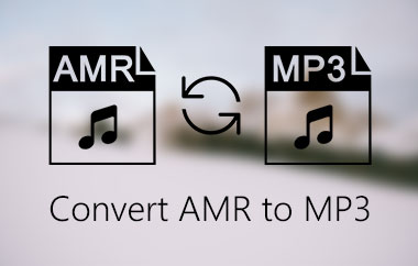 Convertiți AMR în MP3
