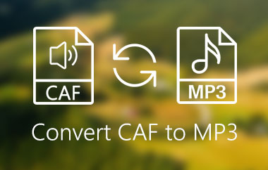 แปลง CAF เป็น MP3