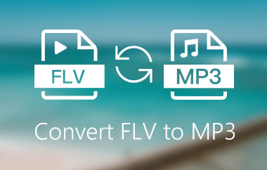 แปลง FLV เป็น MP3