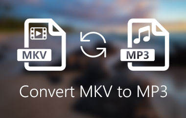 แปลง MKV เป็น MP3