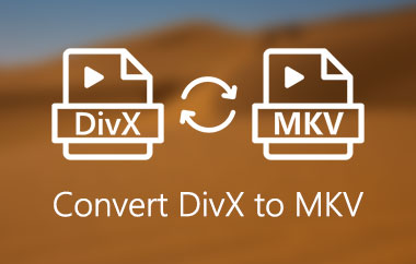 DivX에서 MKV로
