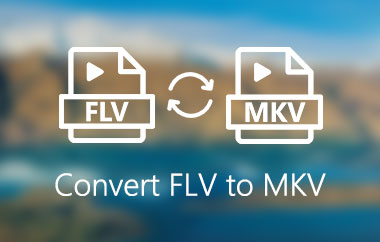 FLV 轉 MKV