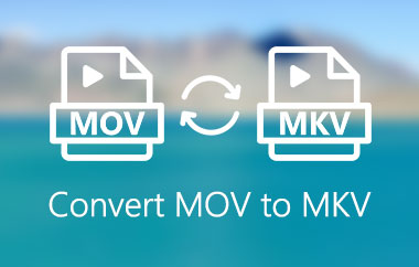 MOV para MKV