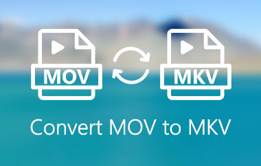 MOV in MKV