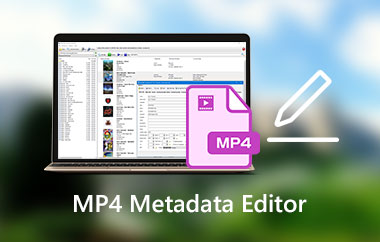 MP4 메타데이터 편집기