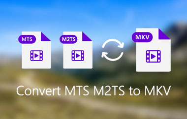 MTS M2TS เป็น MKV