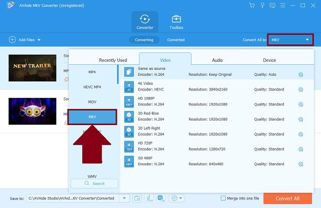 SWF MKV AVAide Select Format