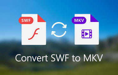 SWF para MKV