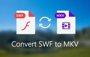 SWF в MKV