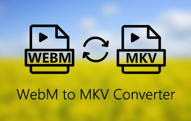 Conversor WebM para MKV