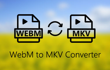 Convertitore da WebM a MKV