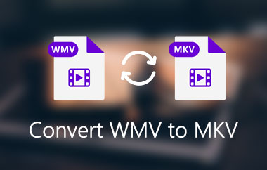 WMV para MKV