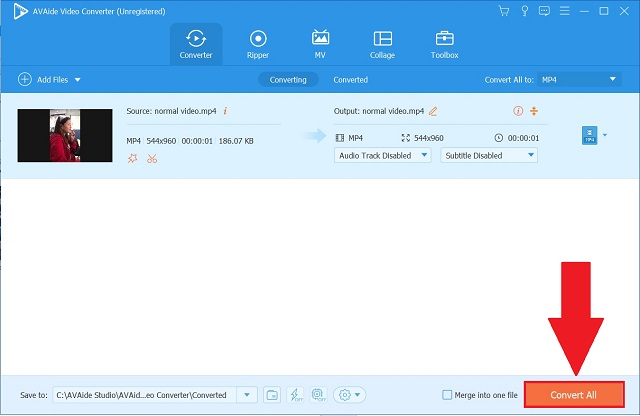 AVAide Converter Tudo