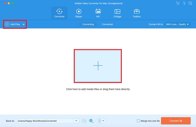 AVAide file di importazione da WAV a AAC