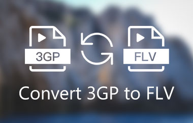 Convertir 3GP a FLV