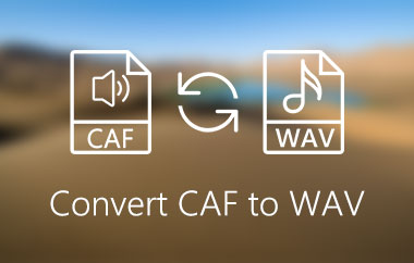 Converti CAF in WAV