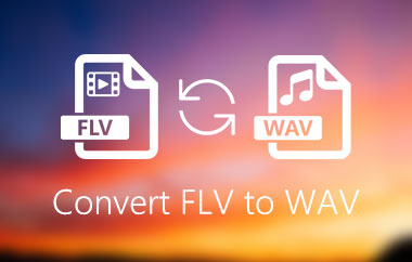 Converti FLV in WAV