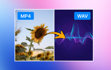 تحويل MP4 إلى WAV