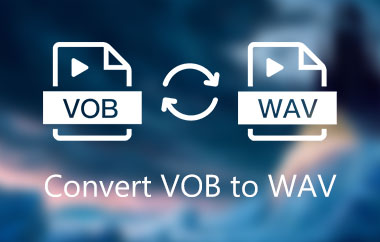 แปลง VOB เป็น WAV