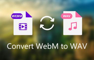 Converti WebM in WAV