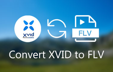 Convert XVID To FLV