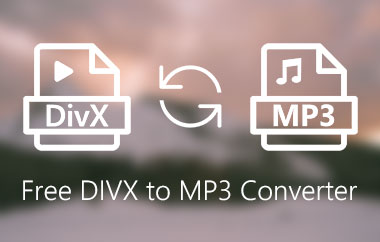 MP3 변환기에 무료 DivX