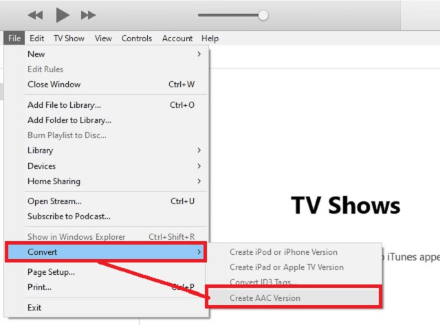 iTunes Converti file