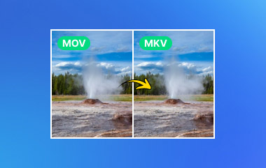 MOV til MKV S