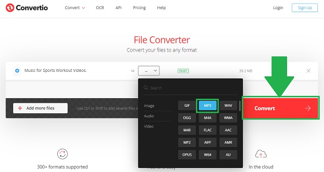 MPEG MP3 Convertio Adjust Format