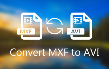 MXF naar AVI