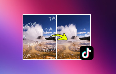 Remove Tiktok Watermark S