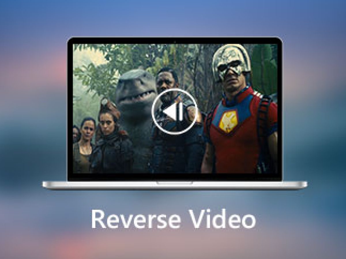 Reverse mp4. Reverse mp4