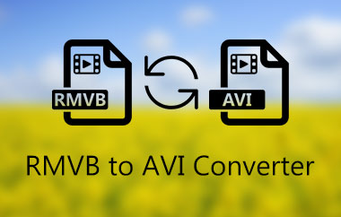 Conversor RMVB para AVI
