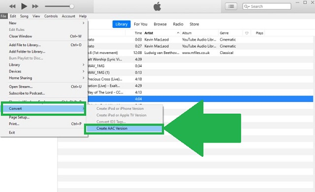 WAV M4A iTunes Go-format