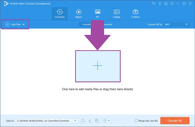 WMA MP3 AVAide Transfer Setempat