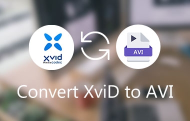 XVID In AVI