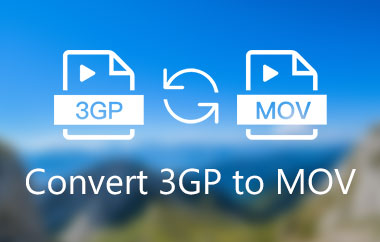 3GP เป็น MOV