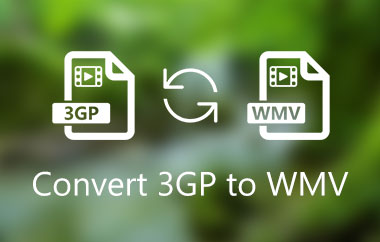 Convertiți 3GP în WMV