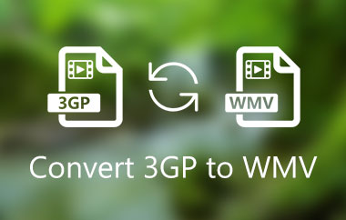 Converti 3GP in WMV