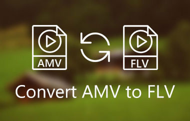 Convert AMV to FLV
