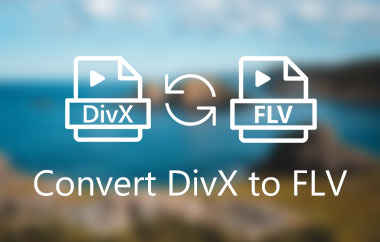 DivX naar FLV converteren