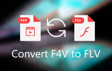Konvertera F4V till FLV