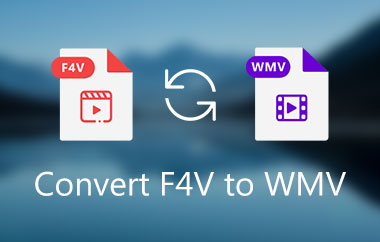 Convertir F4V en WMV