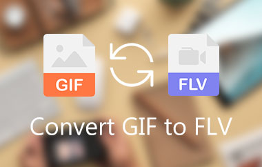 Converteer GIF naar FLV