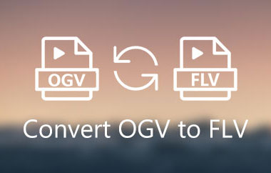 Converti OGV in FLV