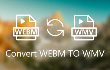 WebM을 WMV로 변환