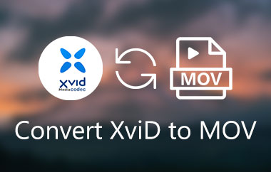 Convertiți XviD în MOV