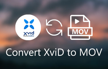 Converti XviD in MOV