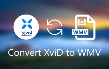 Konvertera XviD till WMV
