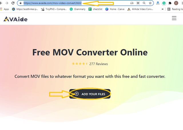 DivX MOV Online